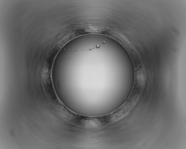 X0000113030322200908271500