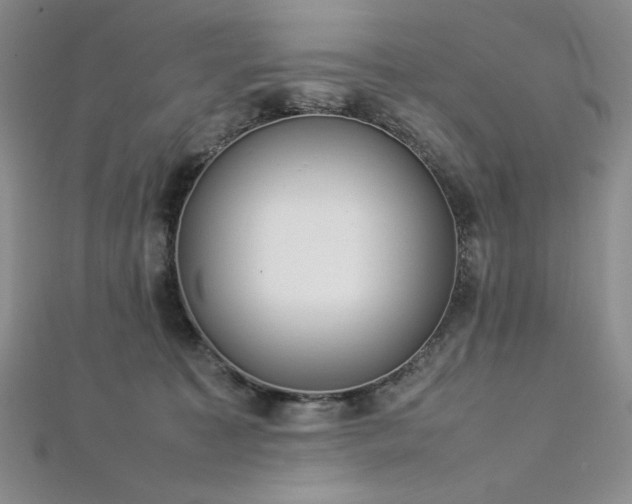 X0000113030323200908271500