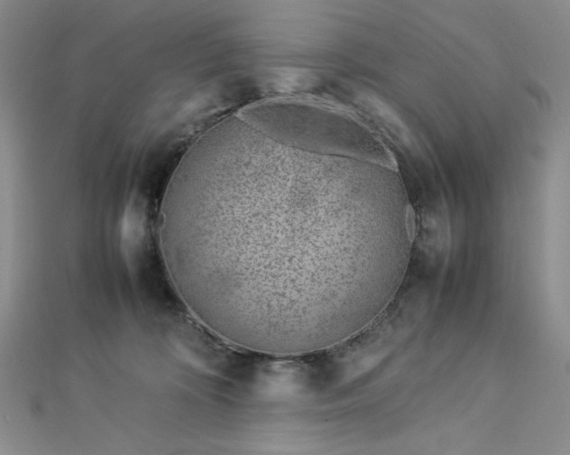 X0000113030324200908271500