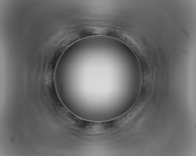 X0000113030325200908271500