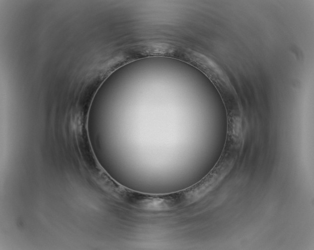 X0000113030326200908271500