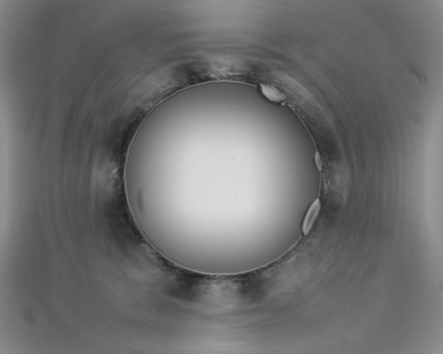 X0000113030327200908271500