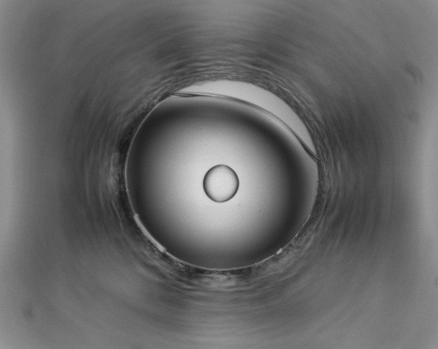 X0000113030328200908271500