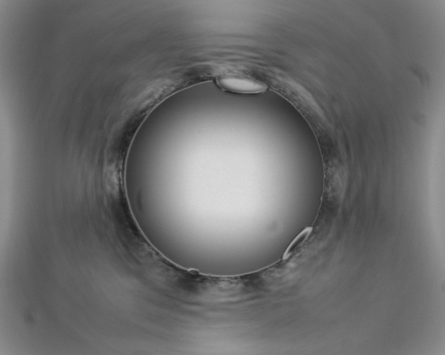 X0000113030329200908271500