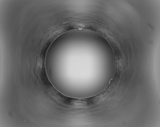 X0000113030331200908271500