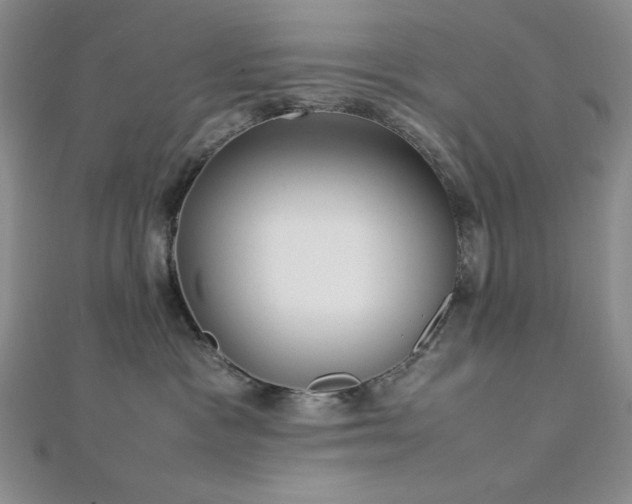 X0000113030333200908271500