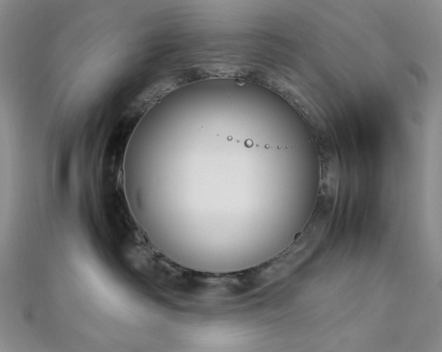 X0000113030334200908271500