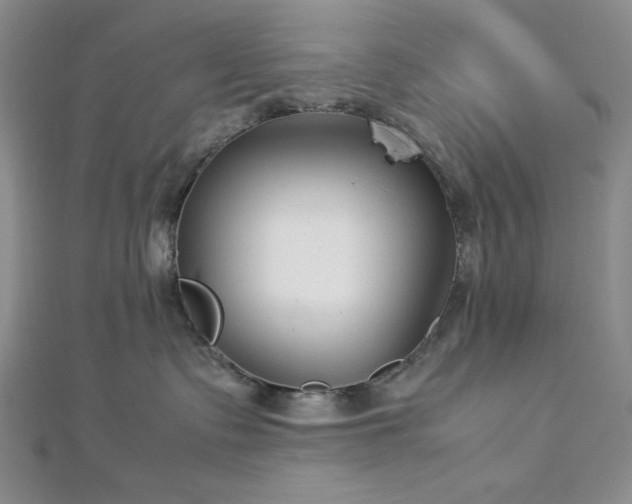 X0000113030335200908271500