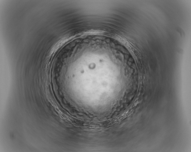 X0000113030337200908271459