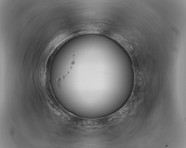 X0000113030338200908271459