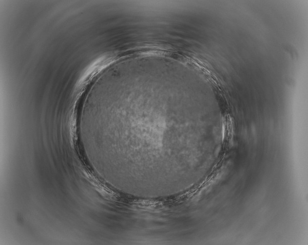 X0000113030339200908271459