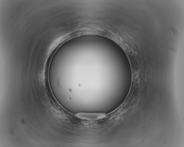 X0000113030340200908271459