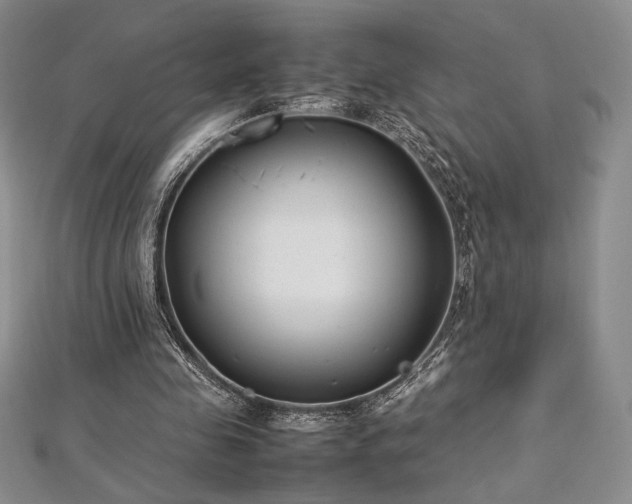 X0000113030341200908271459