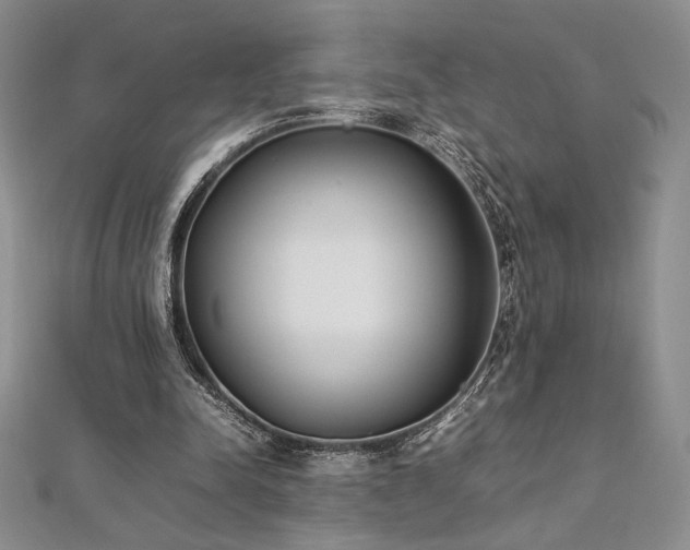 X0000113030342200908271459