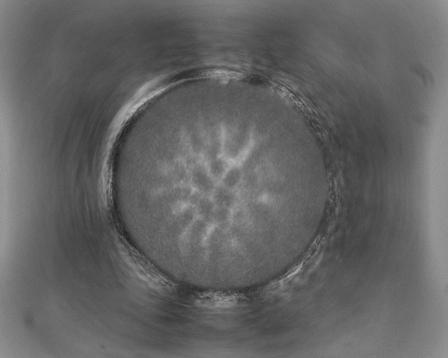 X0000113030343200908271459