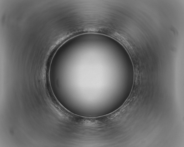 X0000113030346200908271459