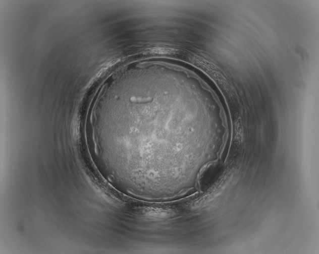 X0000113030347200908271459