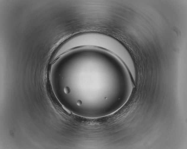 X0000113030348200908271459