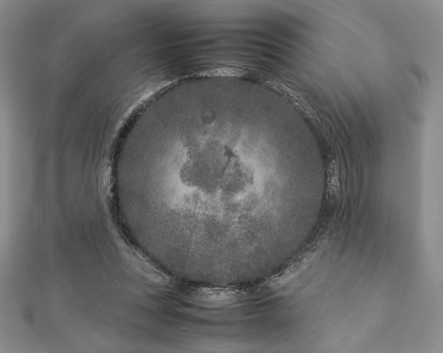 X0000113030351200908271459