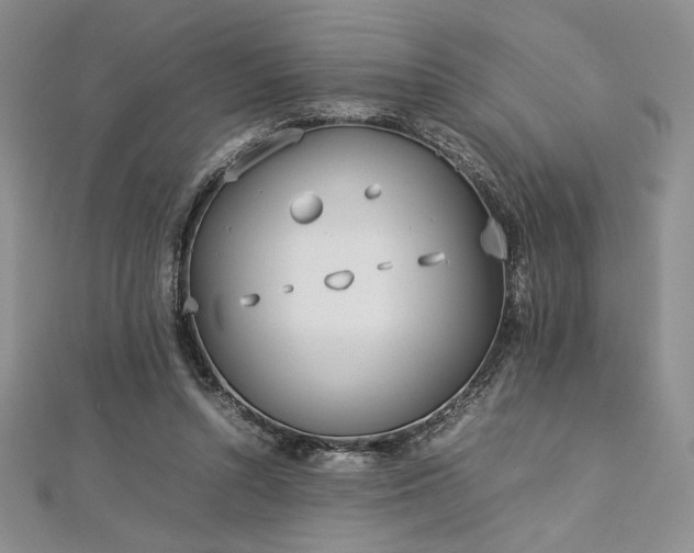 X0000113030352200908271459