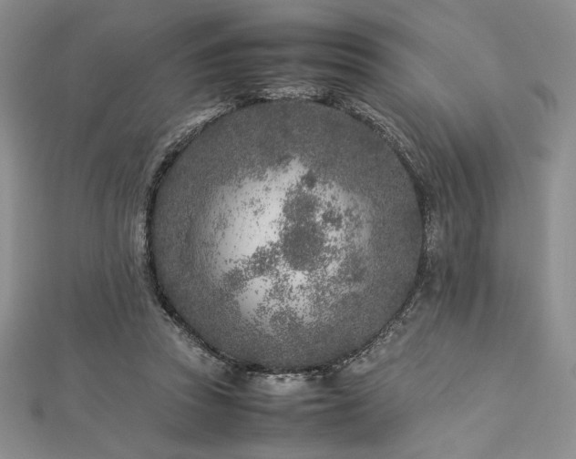 X0000113030353200908271459