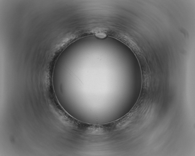 X0000113030354200908271459