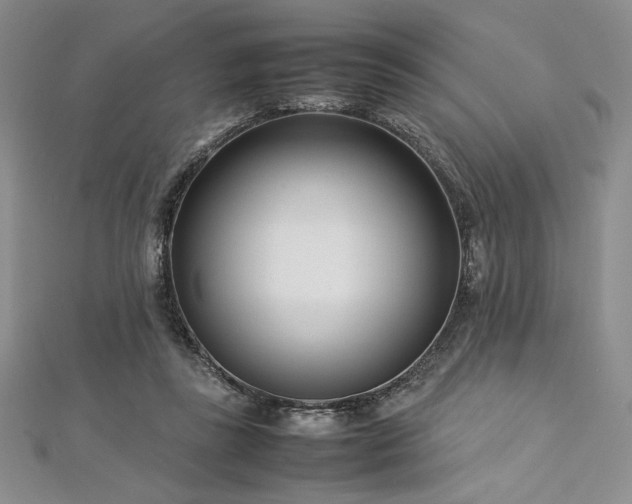 X0000113030355200908271459