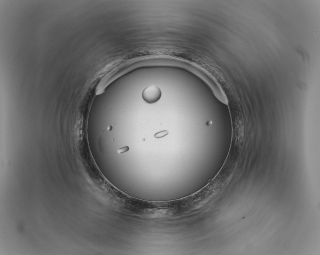 X0000113030356200908271459