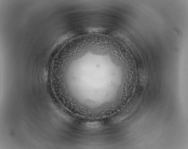 X0000113030357200908271459