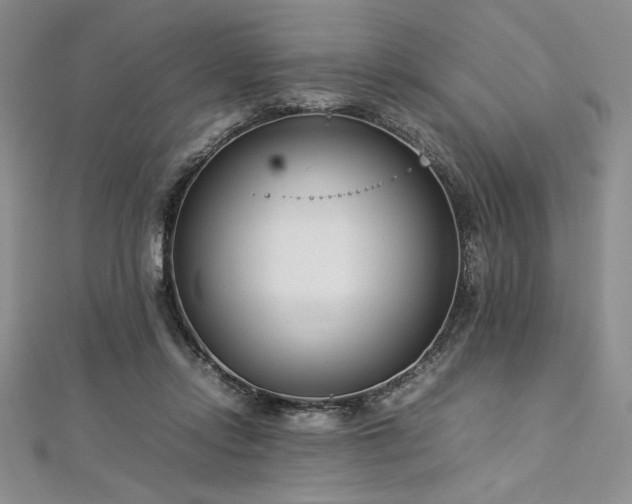 X0000113030358200908271459