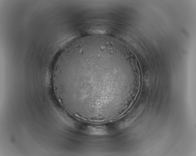 X0000113030359200908271459