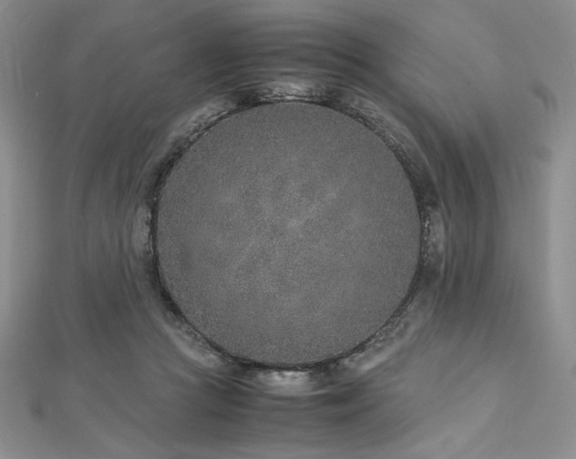 X0000113030361200908271459