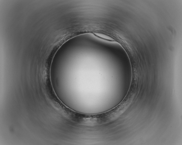 X0000113030362200908271459