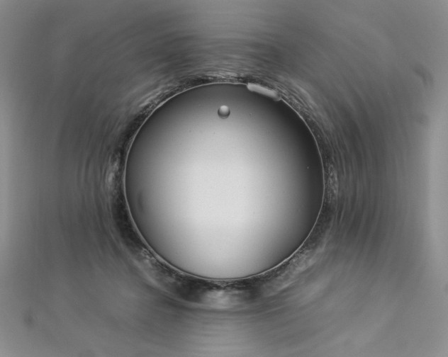 X0000113030364200908271500