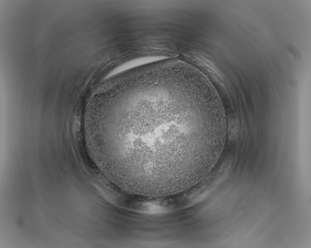 X0000113030365200908271500