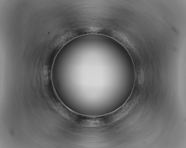 X0000113030366200908271500