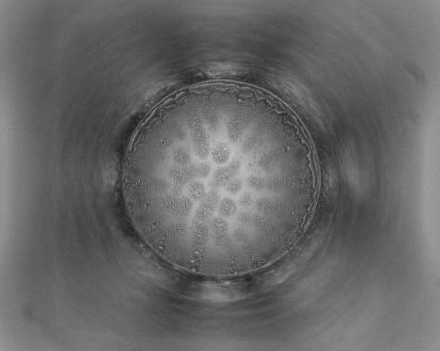 X0000113030367200908271500