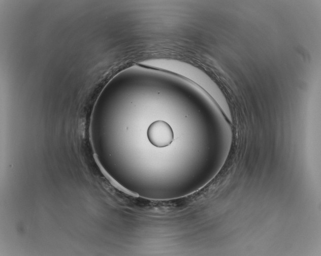 X0000113030368200908271500