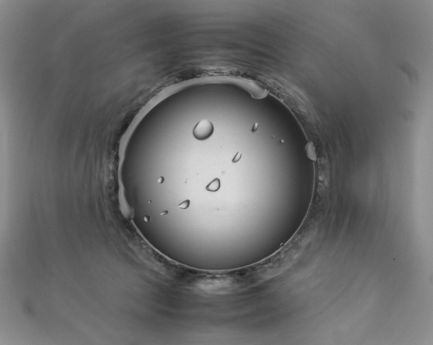 X0000113030369200908271500