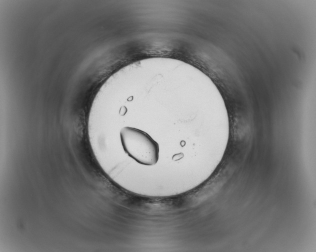 X0000113030370200908271500