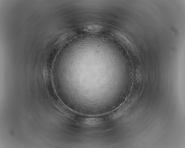 X0000113030371200908271500