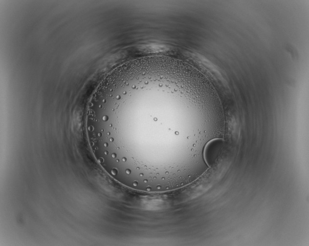 X0000113030373200908271500