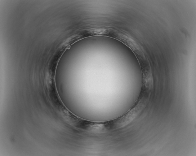 X0000113030374200908271500