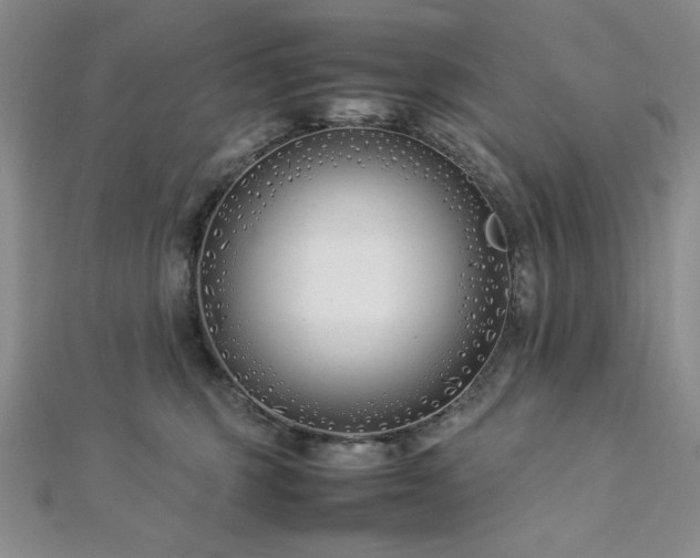 X0000113030375200908271500