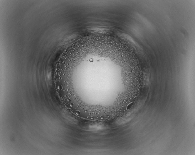 X0000113030377200908271500