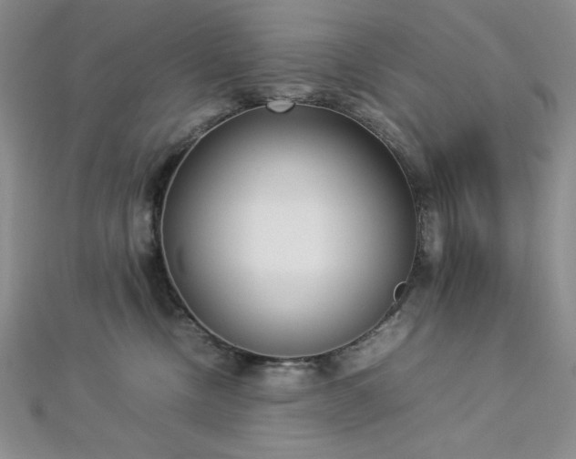 X0000113030378200908271500