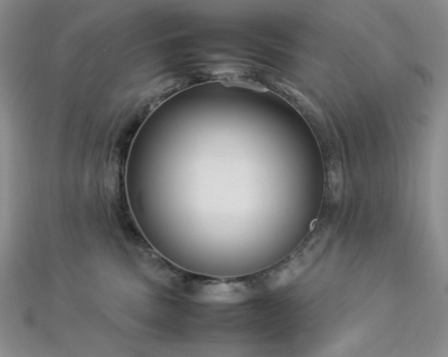 X0000113030379200908271500