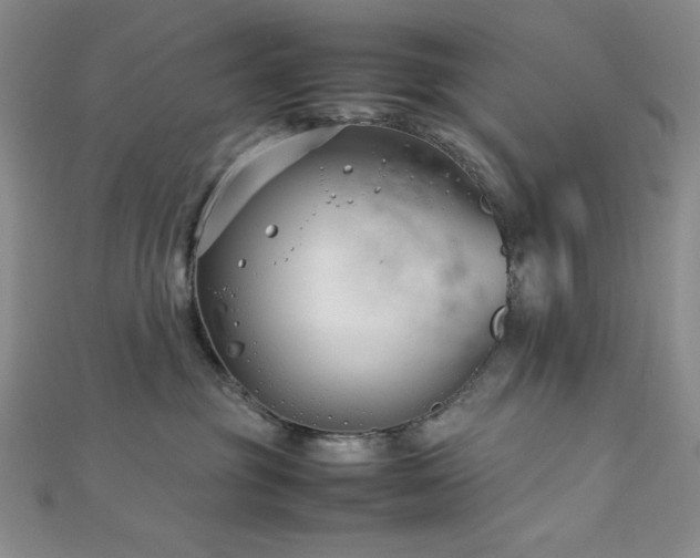 X0000113030381200908271500