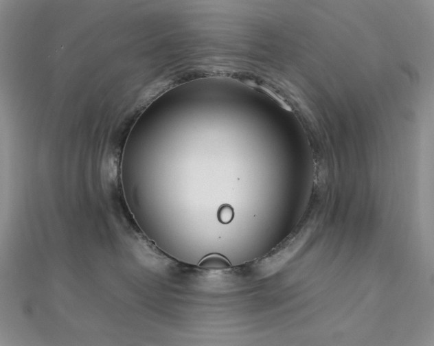 X0000113030382200908271500