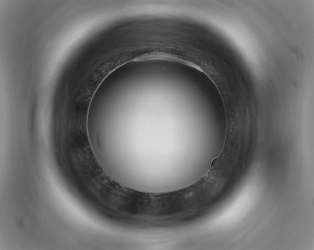 X0000113030383200908271500